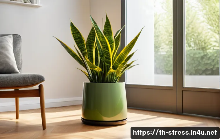 스트레스 해소법  실내 식물 기르기 - A cozy modern living room corner featuring a large snake plant (Sansevieria) in a sleek ceramic pot ...
